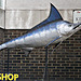 Fish shop