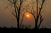 Luangwa Sunset