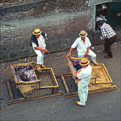 waiting for tourists waiting for tourists