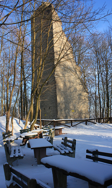 Burgruine Wohlenstein