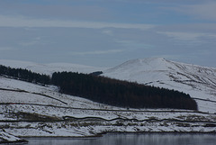 IMGP7185