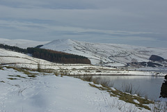 IMGP7193