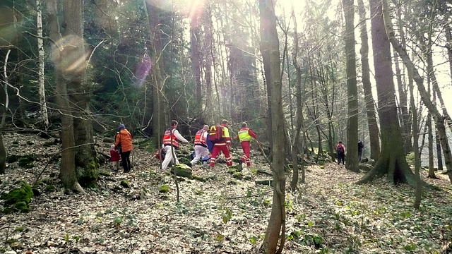 Wanderung im romantischen Polenztal zur Märzenbecherblüte