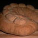 Rosary Crown Bread (Couronne Chapelet) 2