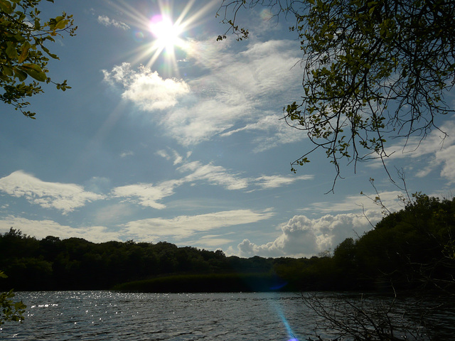 Powdermill Resevoir