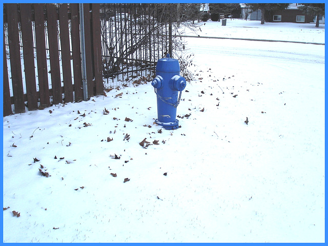 Borne à incendie dans le blanc / Blue hydrant in a white world -   Dans ma ville- Hometown- 9 décembre 2008.