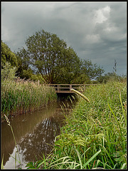 The Bridges of Madison County