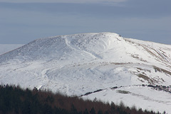 IMGP7198
