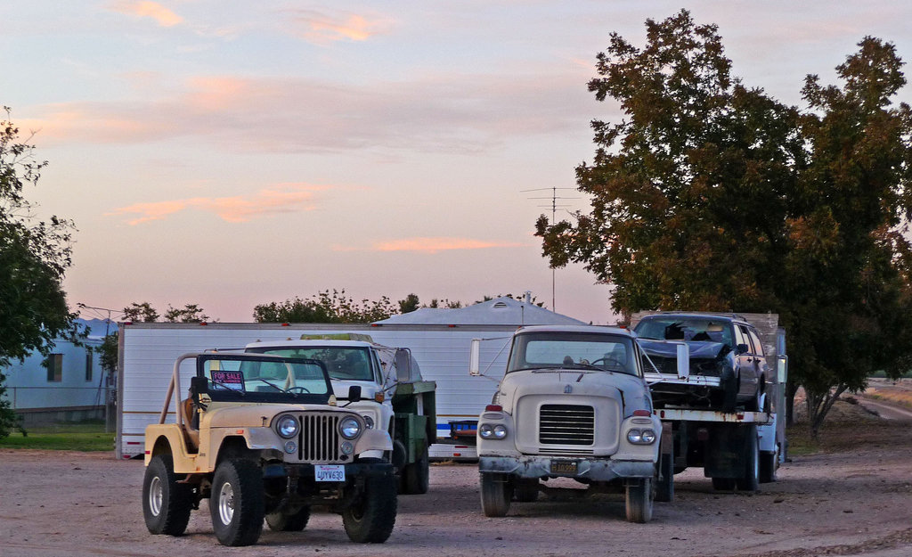 Ripley Vehicles (2287)