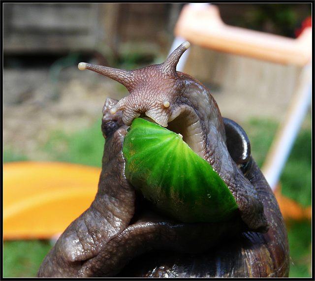 Hanging on To Dinner