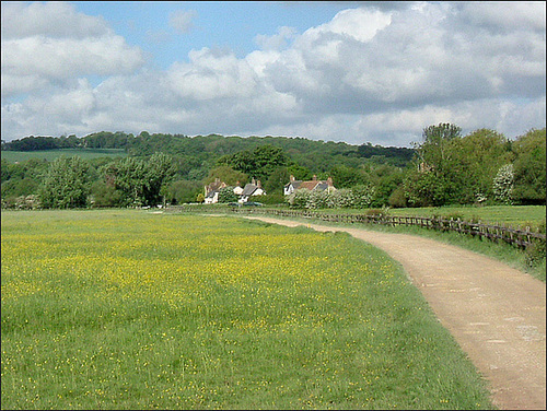 the lane to Binsey