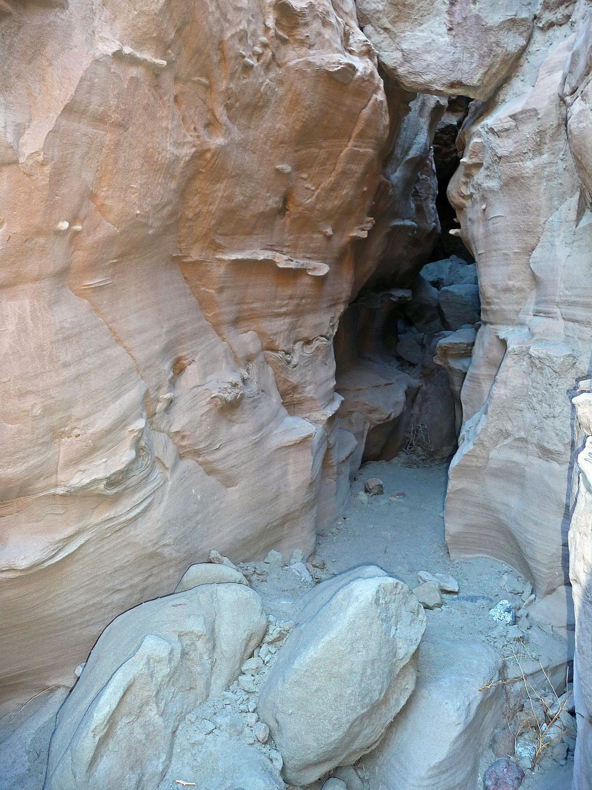 Anza-Borrego Hike (2311)