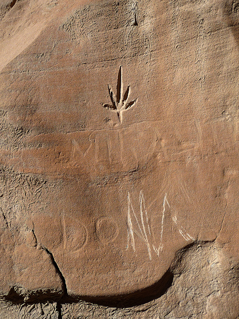 Anza-Borrego Hike (2312)