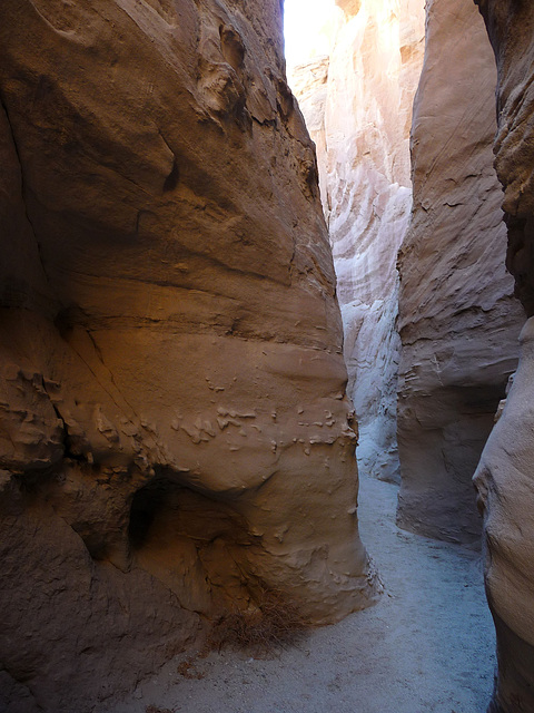 Anza-Borrego Hike (2318)