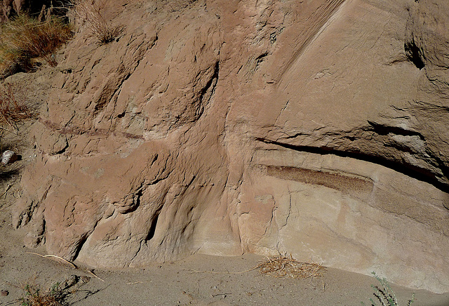 Anza-Borrego Hike (2320)