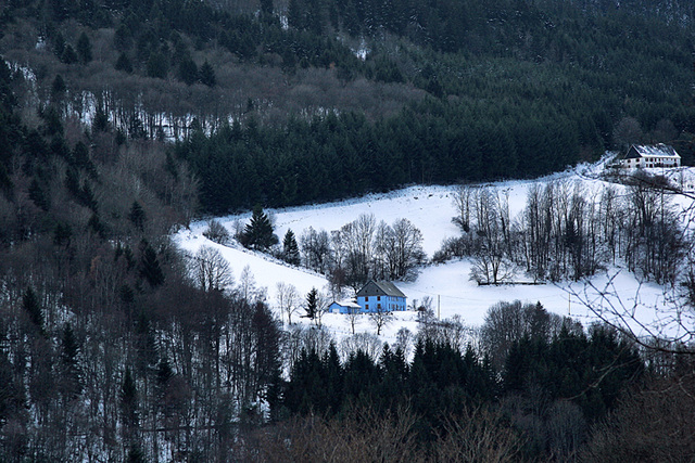 "c'est une maison bleue......."