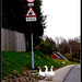 Geese Crossing 1 Mile