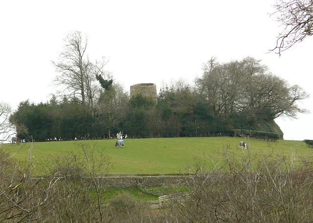 1. Tower Nestled In Trees