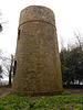 2. Tower View Inside Trees