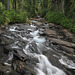 Paradise River near Narada Falls