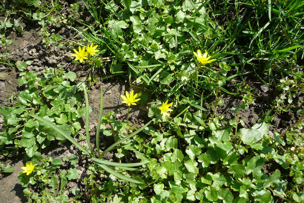 Endlich - Frühling 2009