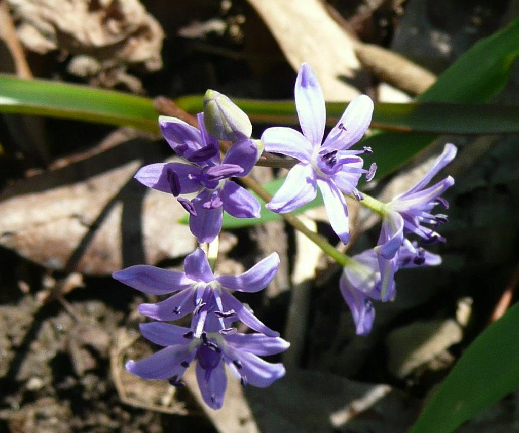 Endlich - Frühling