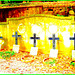 Cimetière de Helsingborg /  Helsingborg cemetery-  Suède / Sweden--Quintette de croix - Crosses quintet / 22 octobre 2008.