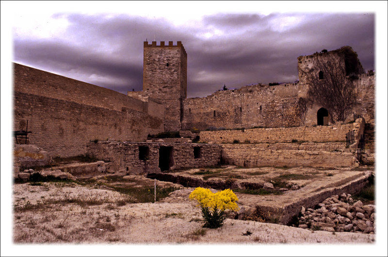 Flowers and ruins