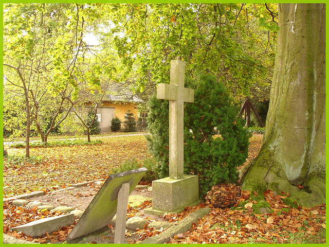 Automne en croix.  Autumn cross- Cimetière de Copenhague- Copenhagen cemetery- 20 octobre 2008