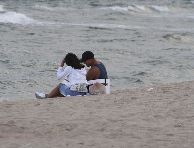 01.AnglinPier.Beach.LBTS.FL.18nov07