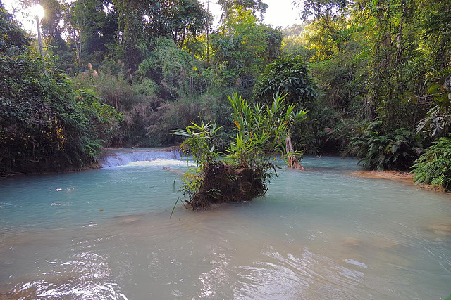 Natural pool at the waterfall