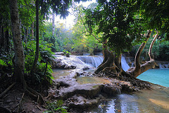 In the park of the Kuang Xi terrain