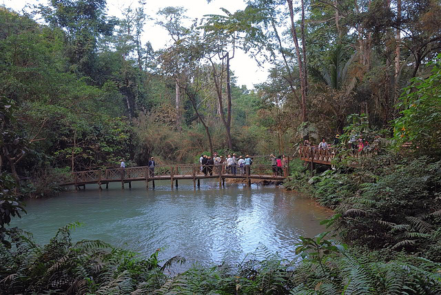 View to the wooden bridge