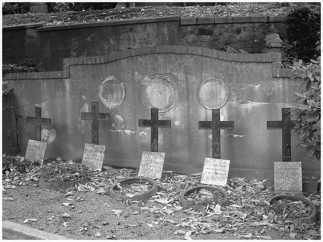 Cimetière de Helsingborg /  Helsingborg cemetery-  Suède / Sweden--Quintette de croix - Crosses quintet- Photofiltre-  En noir et blanc.