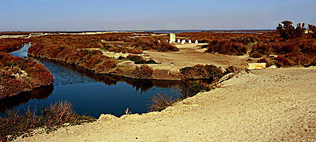 camargue hivernale