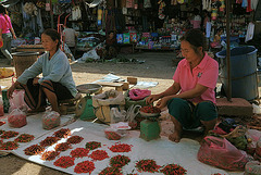 Different sorts of chili sold at the market