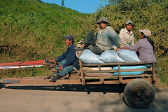 Traffic on the highway