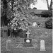 Cimetière de Helsingborg /  Helsingborg cemetery-  Suède / Sweden. - Down the hill in black & white- Au bas de la colline en noir et blanc.