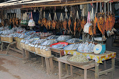 Dry fresh water fish sold at the Vang Heua market