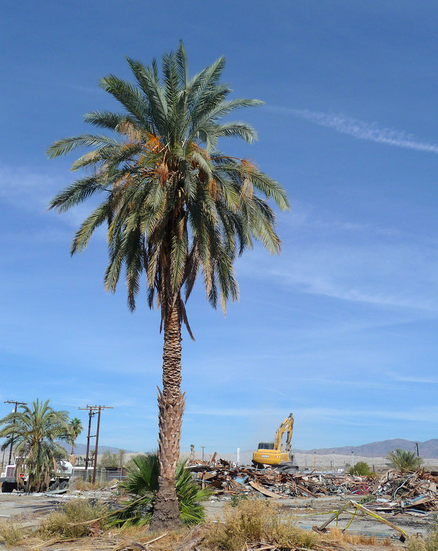 North Shore Motel Demolition (2130)