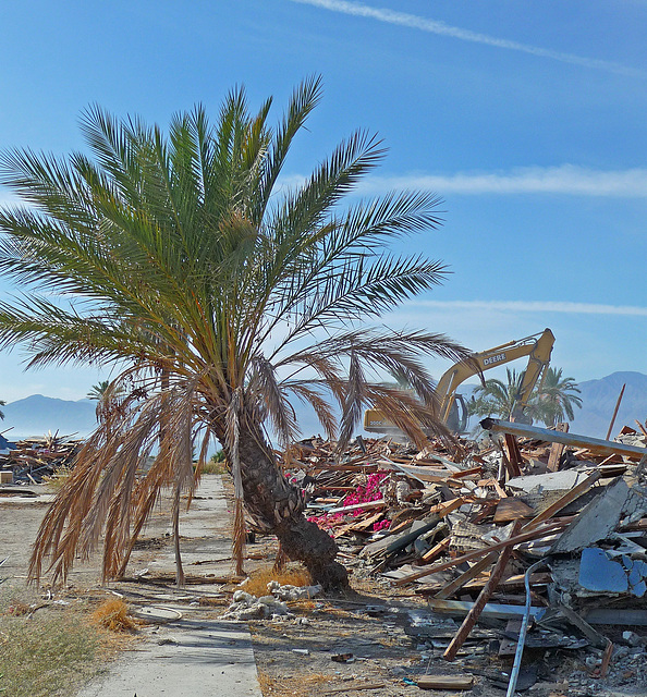 North Shore Motel Demolition (2144)