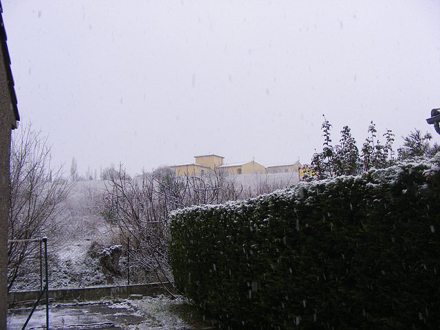 ce matin à Limoux