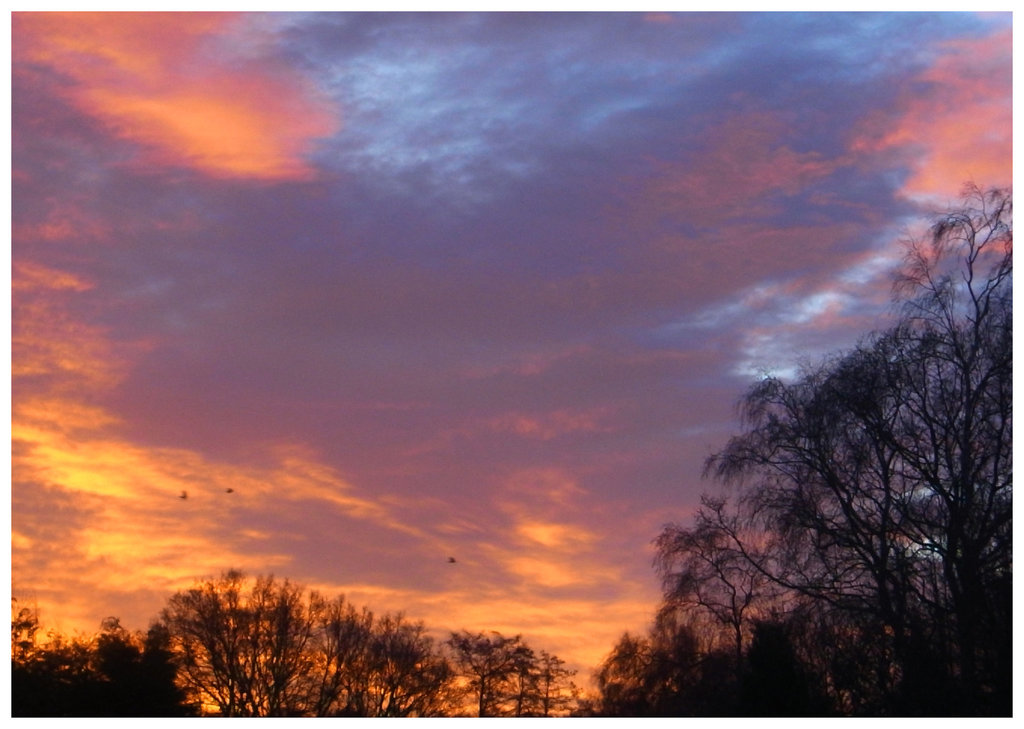 Frimley Sunrise 2