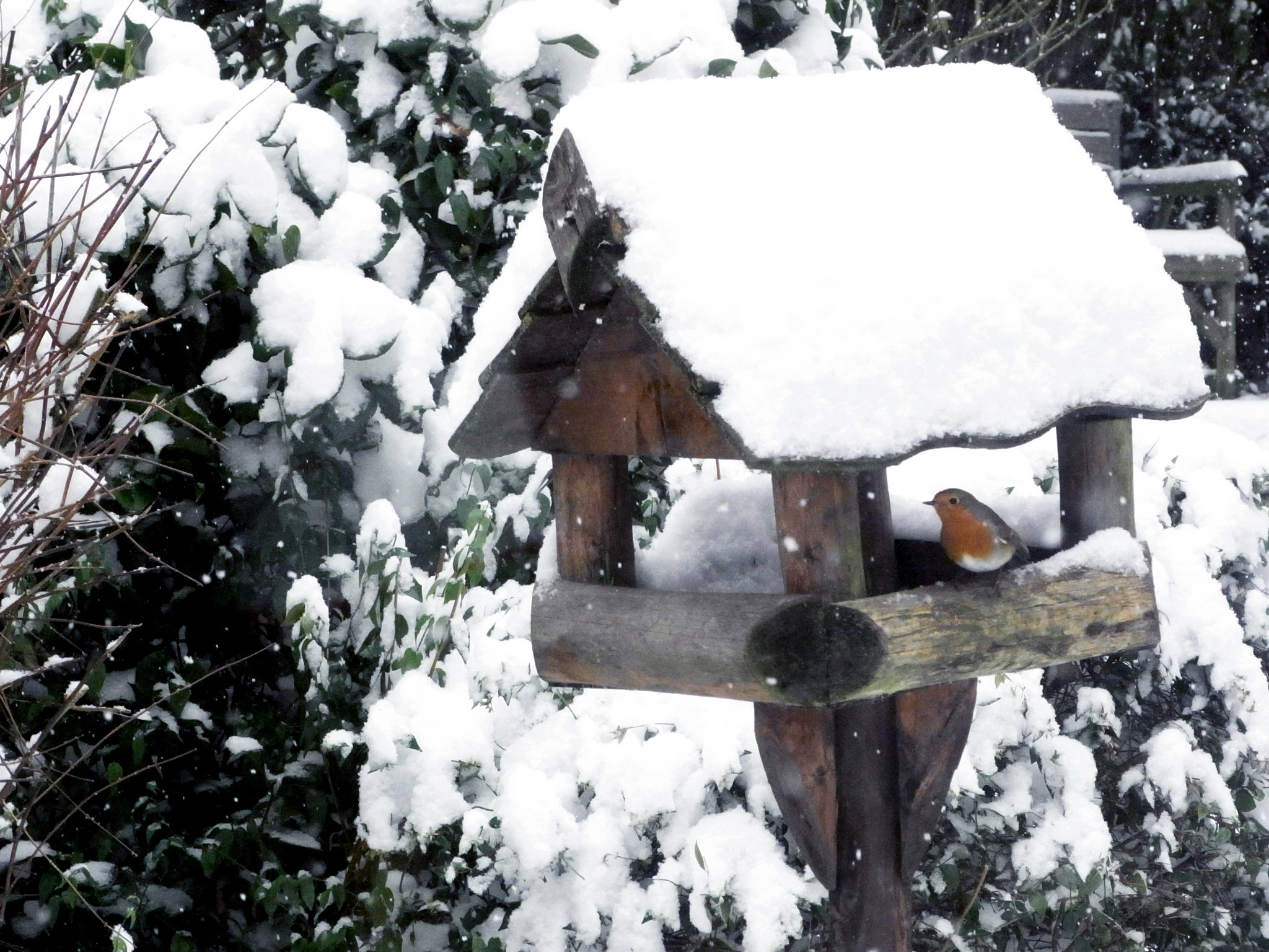 Robin 2 Jan 2013