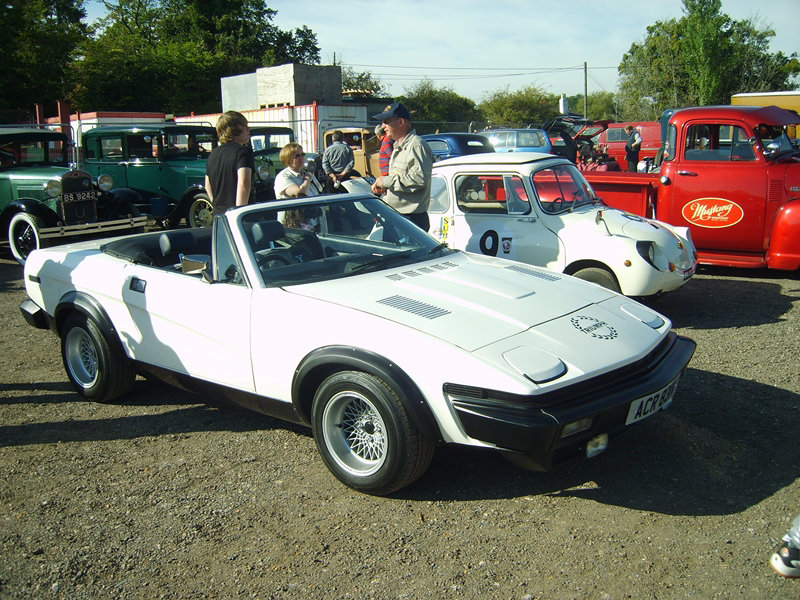 SSR PicJMouldCol (261)