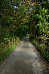 IMGP1278
