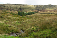 IMGP1288