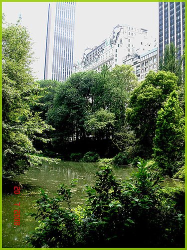 Central park-  Étang et édifices modernes - Buildings & pond- New-York City.