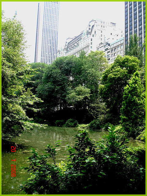 Central park-  Étang et édifices modernes - Buildings & pond- New-York City.