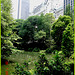 Central park-  Étang et édifices modernes - Buildings & pond- New-York City.